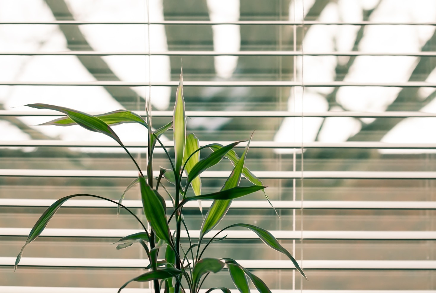Expert Tips for Measuring and Installing Drapes
